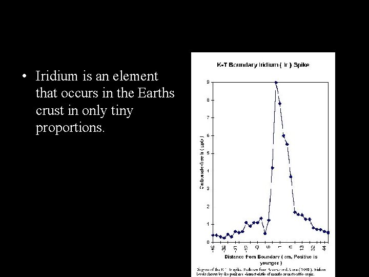 Iridium spike at K/T boundary • Iridium is an element that occurs in the