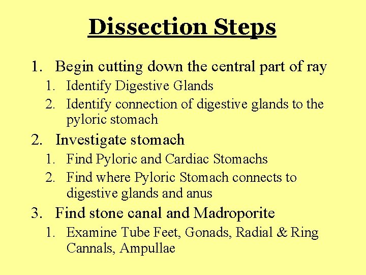 Dissection Steps 1. Begin cutting down the central part of ray 1. Identify Digestive