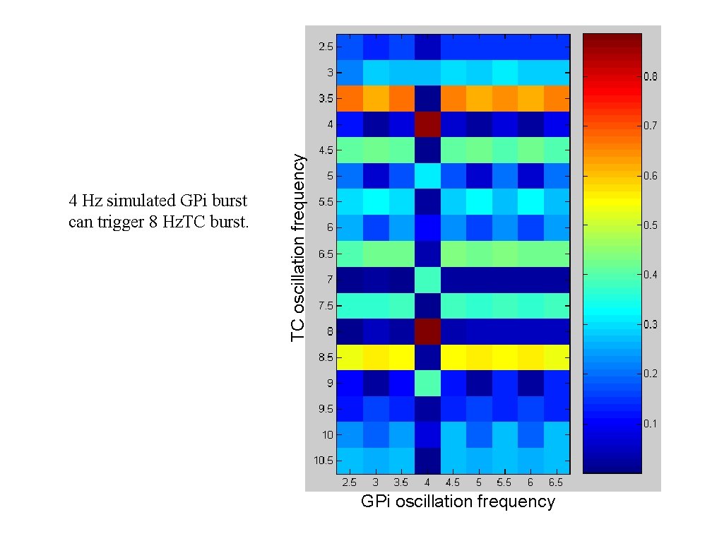 TC oscillation frequency 4 Hz simulated GPi burst can trigger 8 Hz. TC burst.