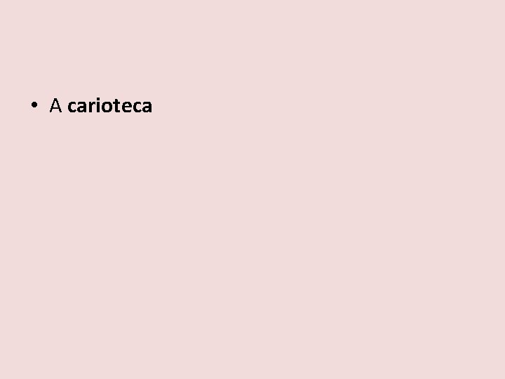  • A carioteca 