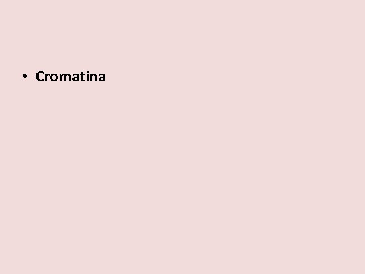  • Cromatina 