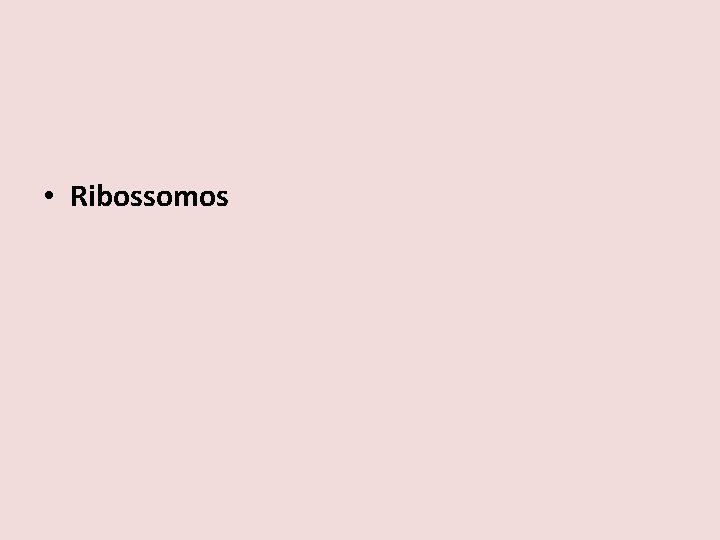  • Ribossomos 