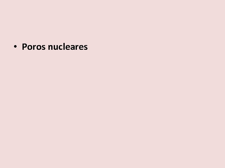  • Poros nucleares 