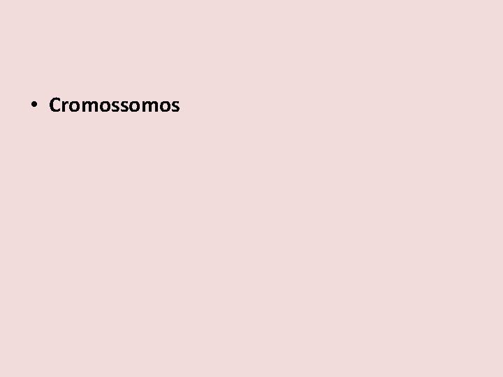 • Cromossomos 