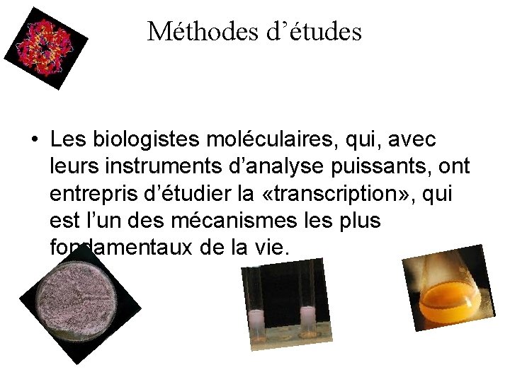 Méthodes d’études • Les biologistes moléculaires, qui, avec leurs instruments d’analyse puissants, ont entrepris