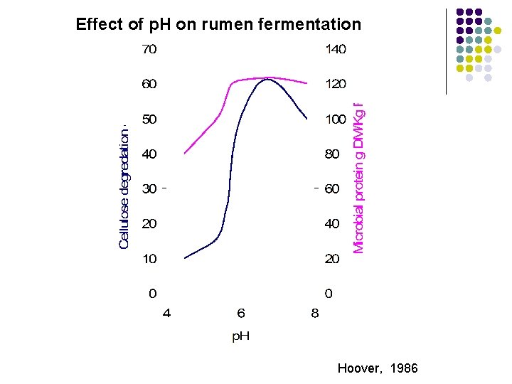 Effect of p. H on rumen fermentation Hoover, 1986 