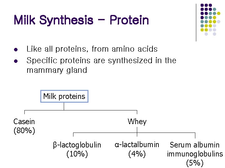 Milk Synthesis - Protein l l Like all proteins, from amino acids Specific proteins