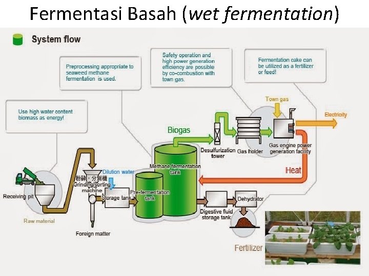 Fermentasi Basah (wet fermentation) 