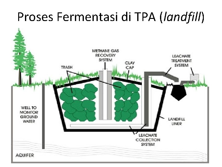 Proses Fermentasi di TPA (landfill) 