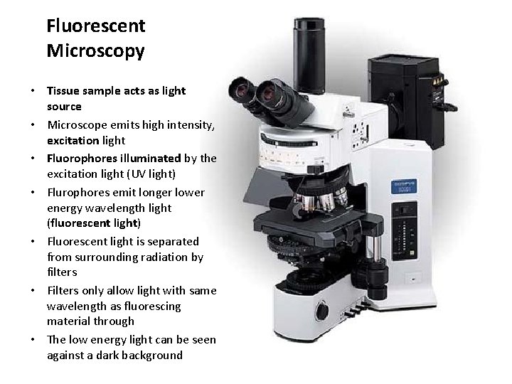 Fluorescent Microscopy • Tissue sample acts as light source • Microscope emits high intensity,