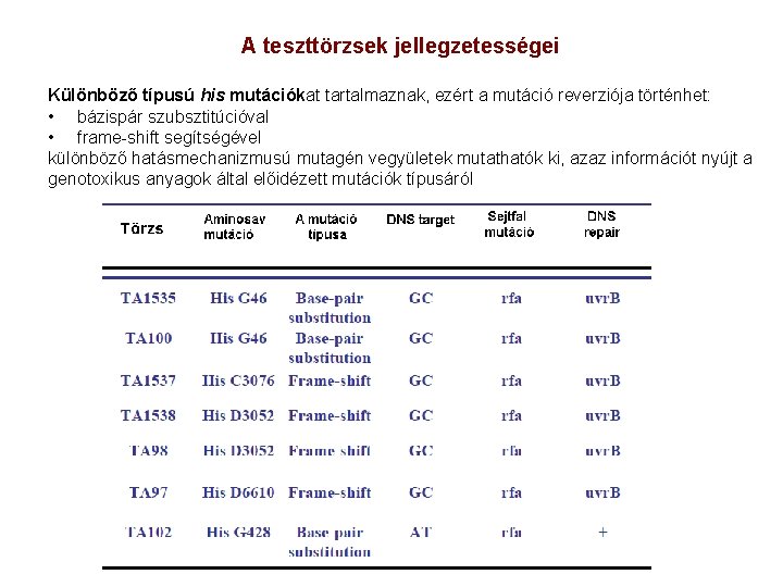 A teszttörzsek jellegzetességei Különböző típusú his mutációkat tartalmaznak, ezért a mutáció reverziója történhet: •