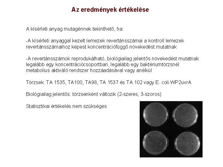 Az eredmények értékelése A kísérleti anyag mutagénnek tekinthető, ha: -A kísérleti anyaggal kezelt lemezek