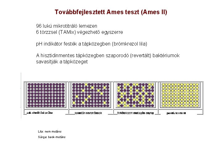 Továbbfejlesztett Ames teszt (Ames II) 96 lukú mikrotitráló lemezen 6 törzzsel (TAMix) végezhető egyszerre