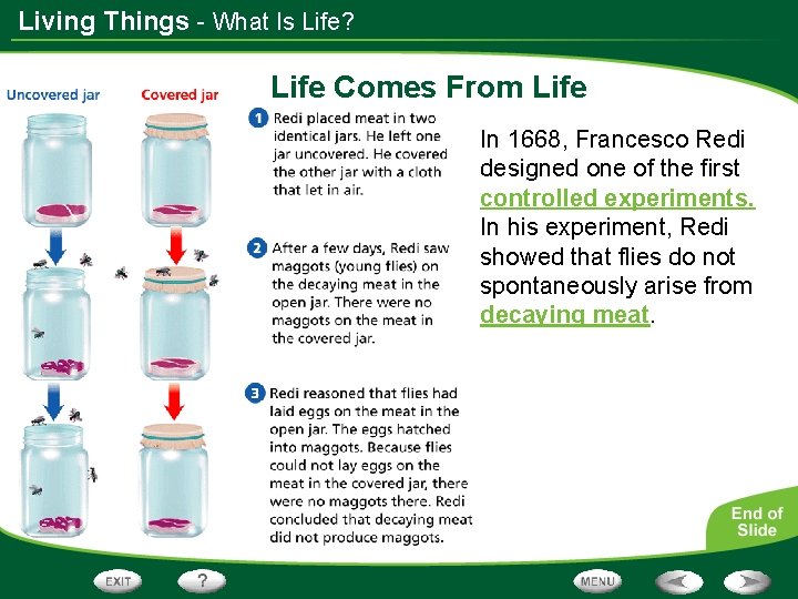 Living Things - What Is Life? Life Comes From Life In 1668, Francesco Redi