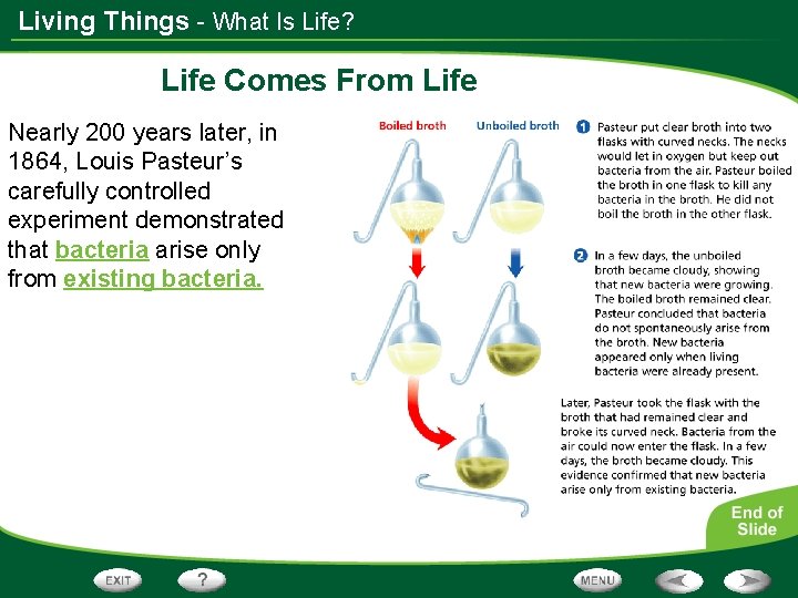 Living Things - What Is Life? Life Comes From Life Nearly 200 years later,