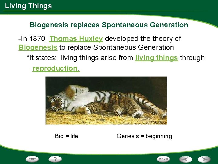 Living Things Biogenesis replaces Spontaneous Generation -In 1870, Thomas Huxley developed theory of Biogenesis