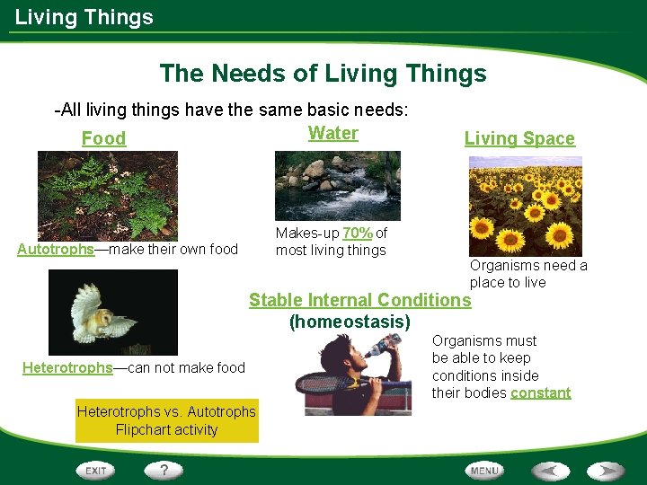 Living Things The Needs of Living Things -All living things have the same basic