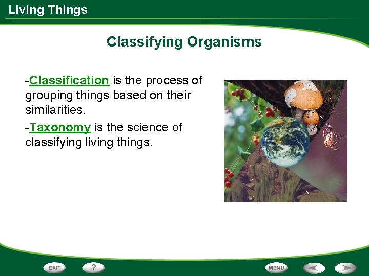 Living Things Classifying Organisms -Classification is the process of grouping things based on their