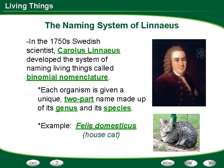Living Things The Naming System of Linnaeus -In the 1750 s Swedish scientist, Carolus