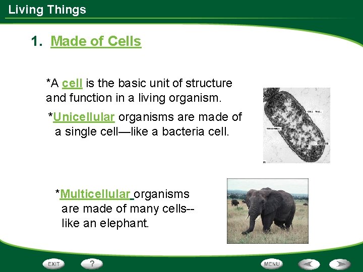 Living Things 1. Made of Cells *A cell is the basic unit of structure