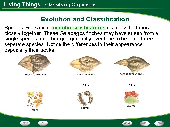 Living Things - Classifying Organisms Evolution and Classification Species with similar evolutionary histories are