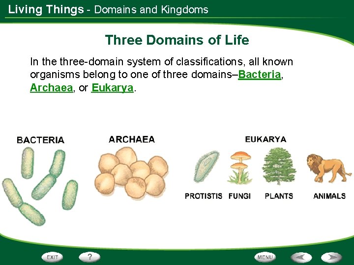 Living Things - Domains and Kingdoms Three Domains of Life In the three-domain system