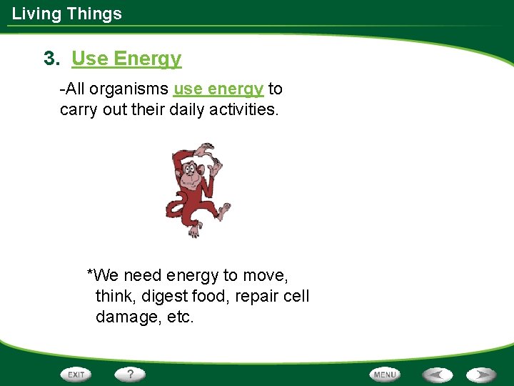 Living Things 3. Use Energy -All organisms use energy to carry out their daily
