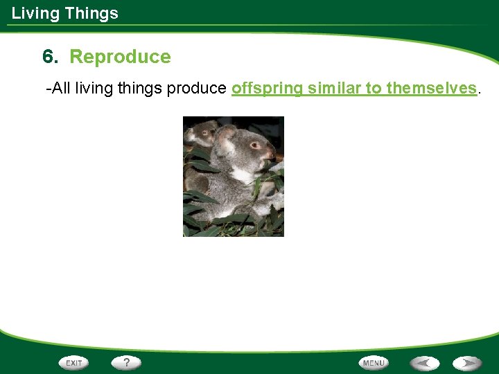 Living Things 6. Reproduce -All living things produce offspring similar to themselves. 