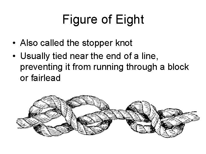 Figure of Eight • Also called the stopper knot • Usually tied near the