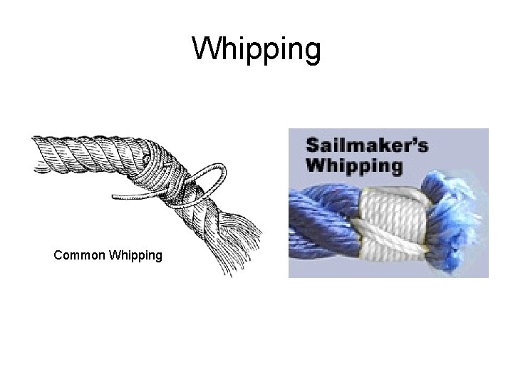 Whipping Common Whipping 