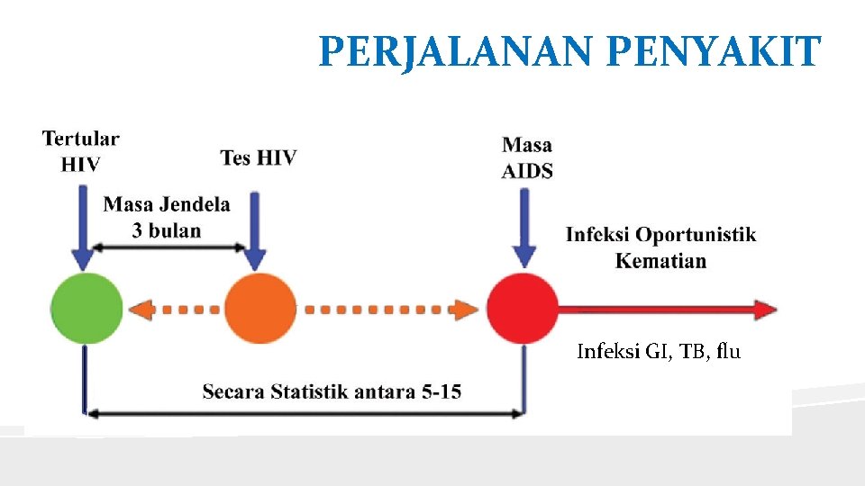 PERJALANAN PENYAKIT Infeksi GI, TB, flu 