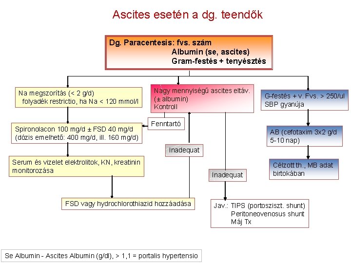 Ascites esetén a dg. teendők Dg. Paracentesis: fvs. szám Albumin (se, ascites) Gram-festés +