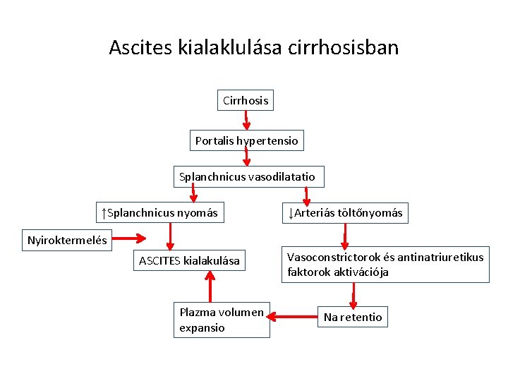 Ascites kialaklulása cirrhosisban Cirrhosis Portalis hypertensio Splanchnicus vasodilatatio ↑Splanchnicus nyomás ↓Arteriás töltőnyomás Nyiroktermelés ASCITES