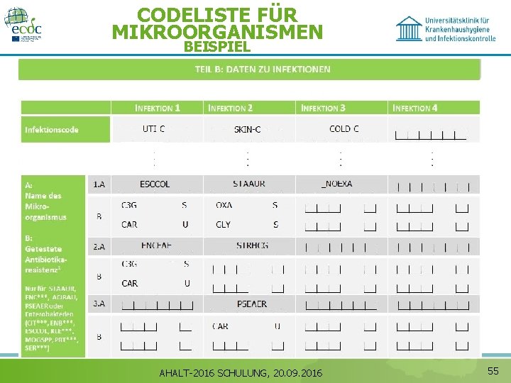 CODELISTE FÜR MIKROORGANISMEN BEISPIEL AHALT-2016 SCHULUNG, 20. 09. 2016 55 