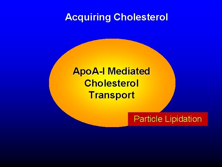 Acquiring Cholesterol Apo. A-I Mediated Cholesterol Transport Particle Lipidation 