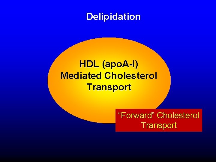 Delipidation HDL (apo. A-I) Mediated Cholesterol Transport “Forward” Cholesterol Transport 