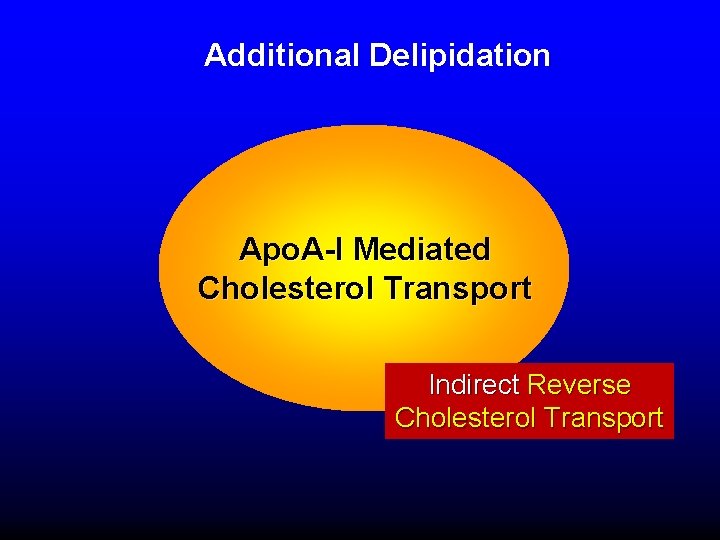 Additional Delipidation Apo. A-I Mediated Cholesterol Transport Indirect Reverse Cholesterol Transport 