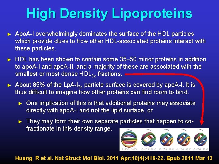 High Density Lipoproteins ► Apo. A-I overwhelmingly dominates the surface of the HDL particles