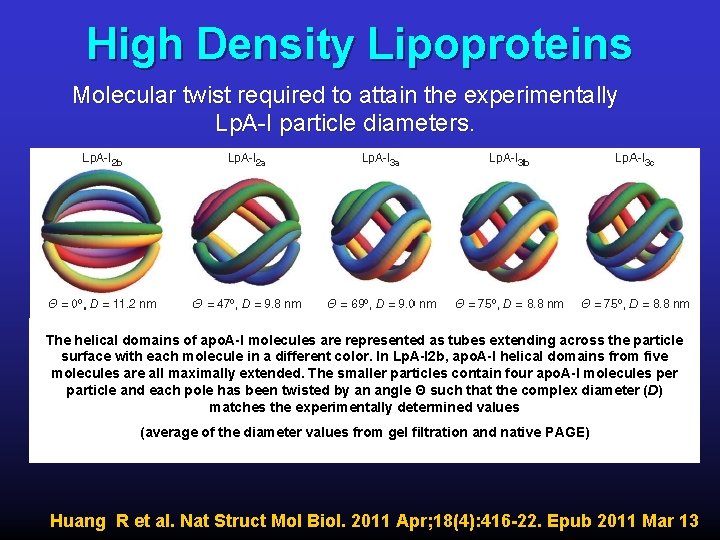 High Density Lipoproteins Molecular twist required to attain the experimentally Lp. A-I particle diameters.