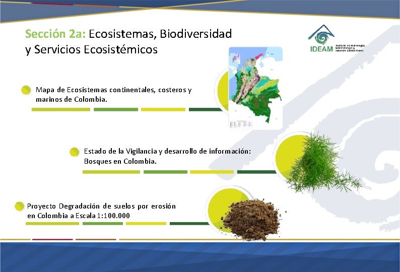 Sección 2 a: Ecosistemas, Biodiversidad y Servicios Ecosistémicos Mapa de Ecosistemas continentales, costeros y