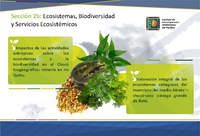 Sección 2 b: Ecosistemas, Biodiversidad y Servicios Ecosistémicos Impactos de las actividades antrópicas sobre