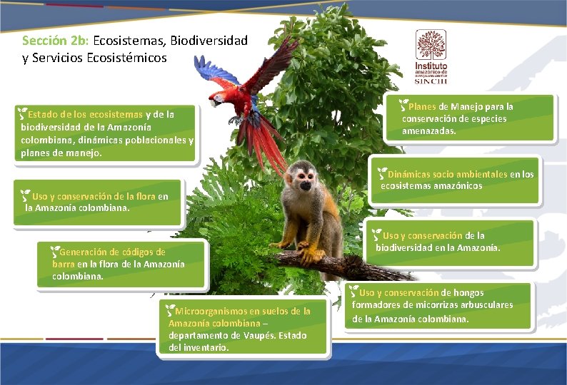 Sección 2 b: Ecosistemas, Biodiversidad y Servicios Ecosistémicos Estado de los ecosistemas y de