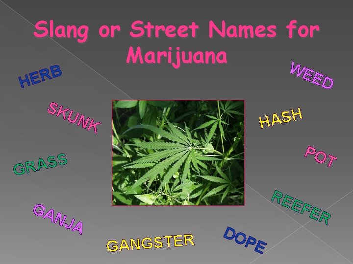 Slang or Street Names for Marijuana W EE B R HE SK UN K