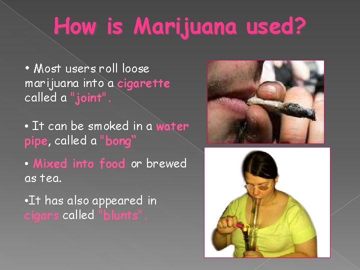 How is Marijuana used? • Most users roll loose marijuana into a cigarette called