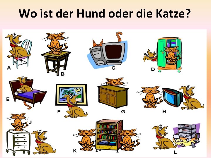 Wo ist der Hund oder die Katze? 