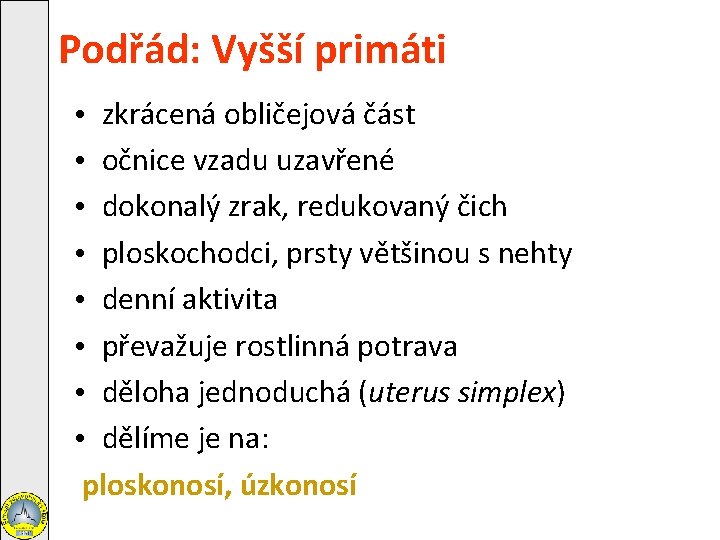 Podřád: Vyšší primáti • zkrácená obličejová část • očnice vzadu uzavřené • dokonalý zrak,