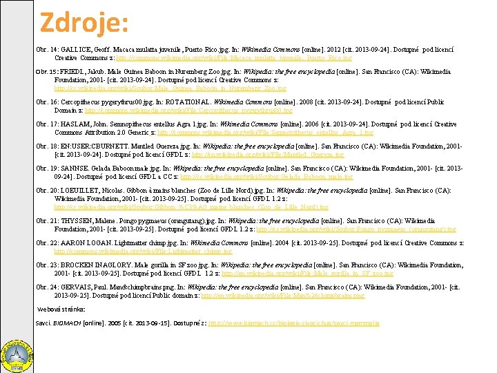 Zdroje: Obr. 14: GALLICE, Geoff. Macaca mulatta juvenile, Puerto Rico. jpg. In: Wikimedia Commons