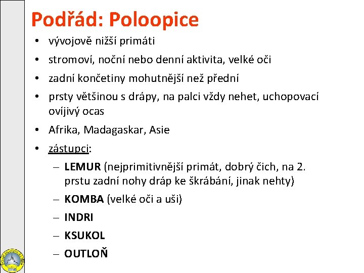 Podřád: Poloopice • vývojově nižší primáti • stromoví, noční nebo denní aktivita, velké oči