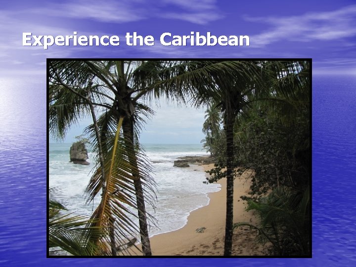 Experience the Caribbean 