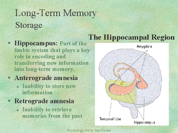 Long-Term Memory Storage § Hippocampus: Part of the The Hippocampal Region limbic system that